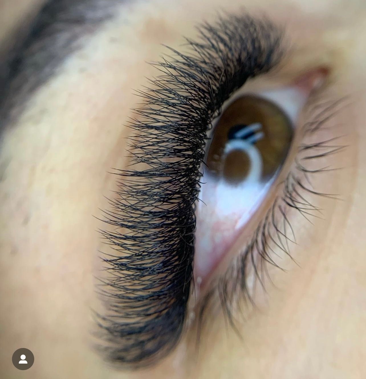 10D Promade Ultra-speed - 1000 Fans - LASH V