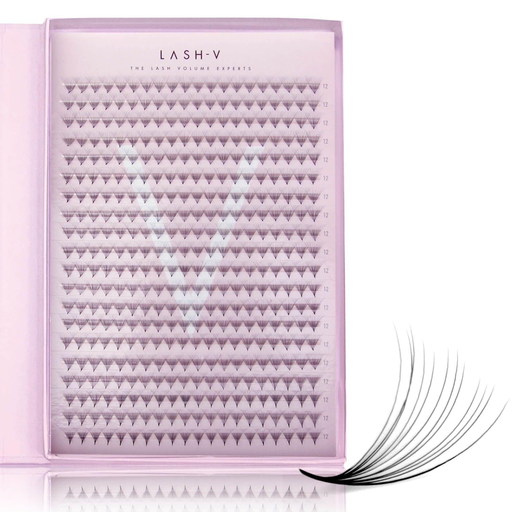 12D Promade XXL Tray - 400 Fans - LASH V