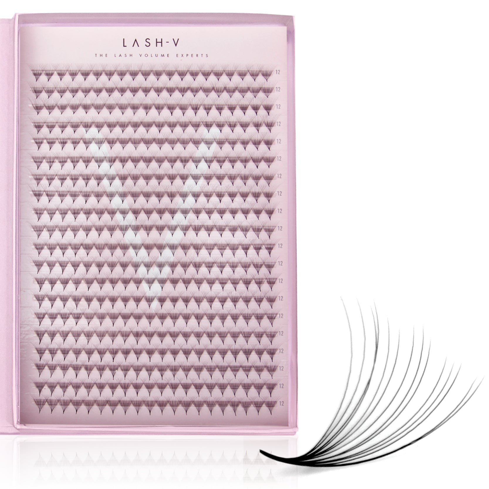 14D Promade Xxl Tray - 400 Fans - LASH V