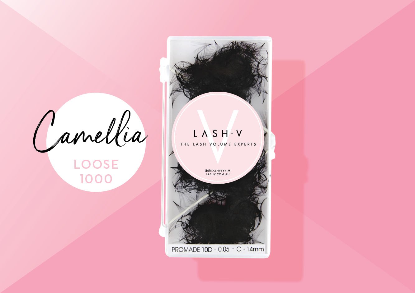 CAMELLIA PROMADE FANS - LASH V