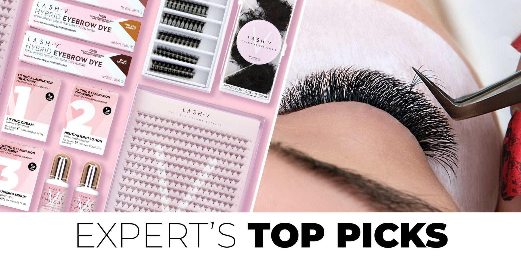 Expert's Hot Picks - LASH V