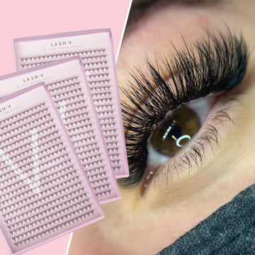 PROMADE XXL TRAY - MEGA BOX (3D-14D) - LASH V