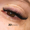 3D Premade Volume Fans Ultra Dark Short Stem - 800 Fans - LASH V