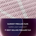 3D Premade Volume Fans Ultra Dark Short Stem - 800 Fans - LASH V