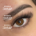 3D Premade Volume Fans Ultra Dark Short Stem - 800 Fans - LASH V