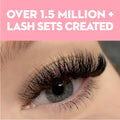 3D Premade Volume Fans Ultra Dark Short Stem - 800 Fans - LASH V