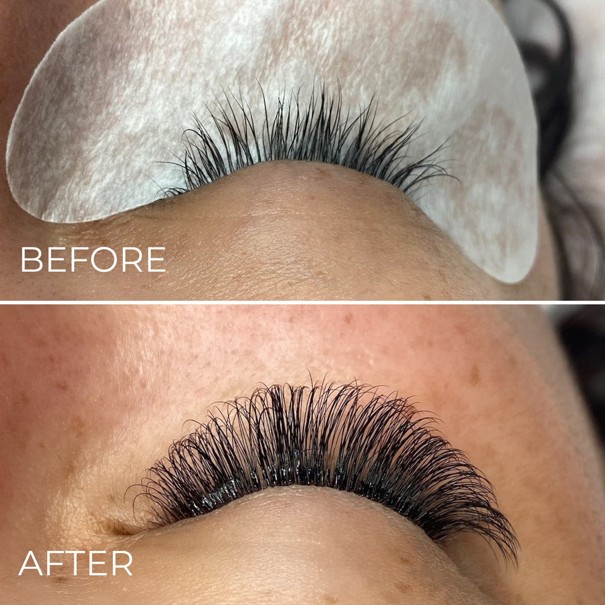 3D Premade Volume Fans Ultra Dark Short Stem - 800 Fans - LASH V