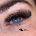 4D Premade Volume Fans Ultra Dark Short Stem - 440 Fans - LASH V