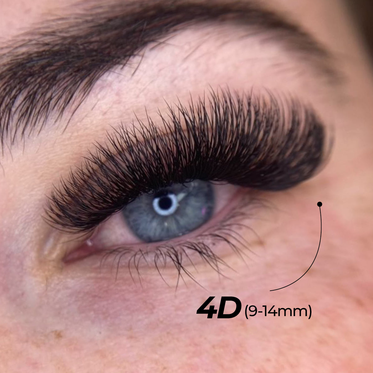 4D Premade Volume Fans Ultra Dark Short Stem - 440 Fans - LASH V