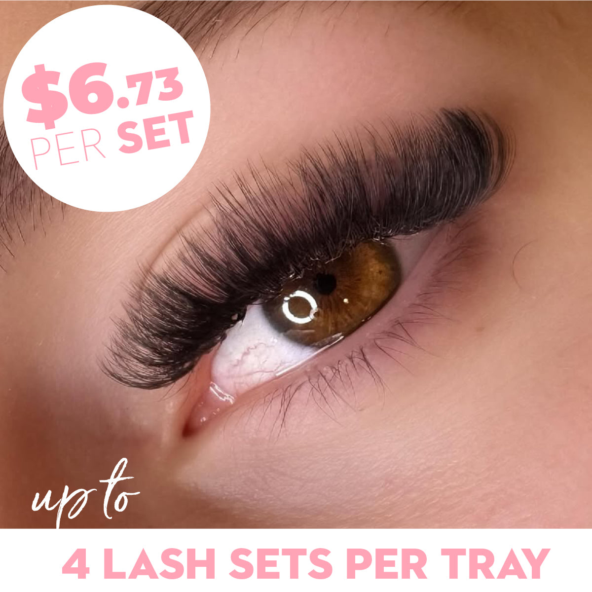 4D Premade Volume Fans Ultra Dark Short Stem - 440 Fans - LASH V