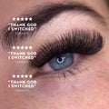 4D Premade Volume Fans Ultra Dark Short Stem - 440 Fans - LASH V