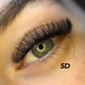 5D Premade Volume Fans Ultra Dark Short Stem - 440 Fans - LASH V