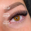 5D Premade Volume Fans Ultra Dark Short Stem - 440 Fans - LASH V