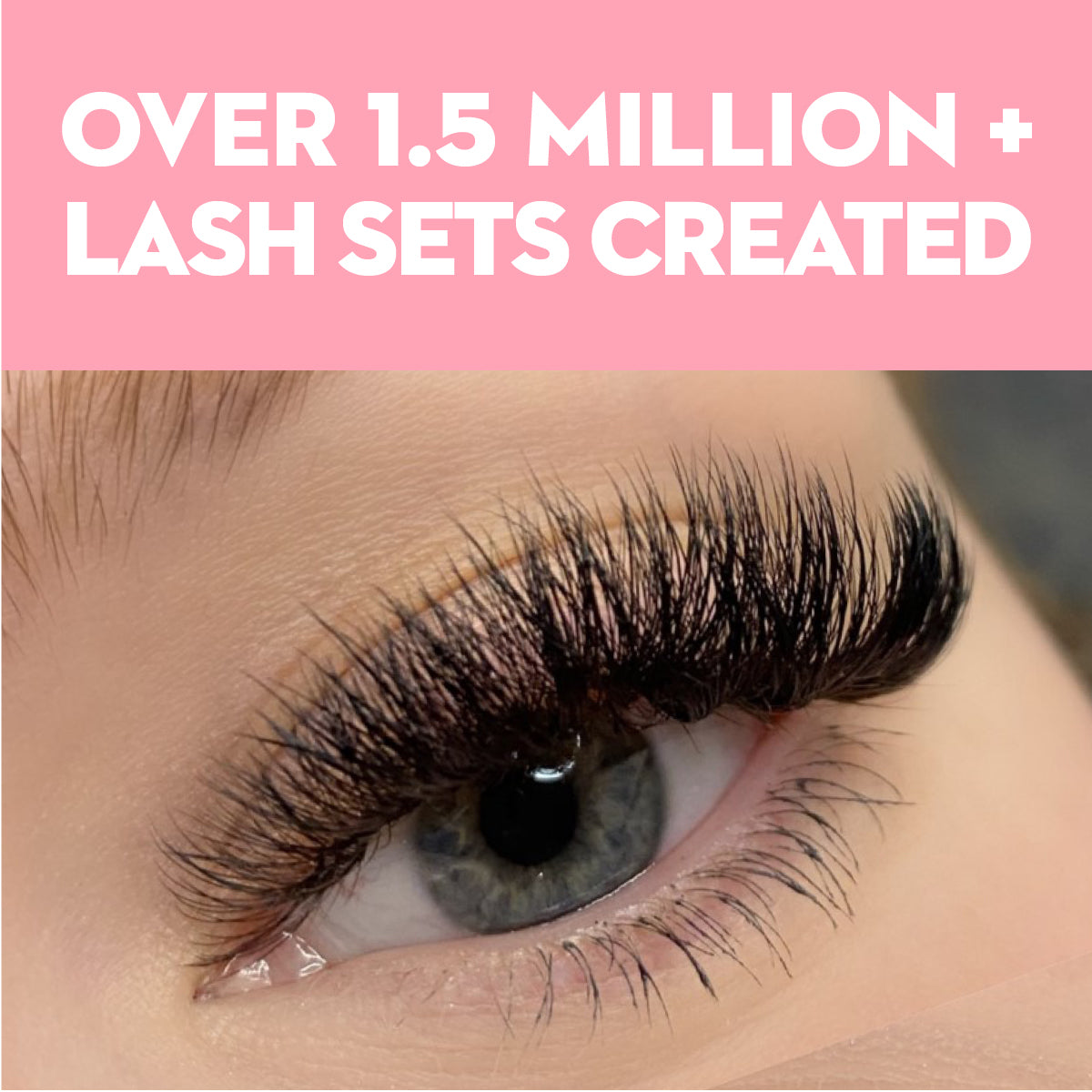 5D Premade Volume Fans Ultra Dark Short Stem - 440 Fans - LASH V