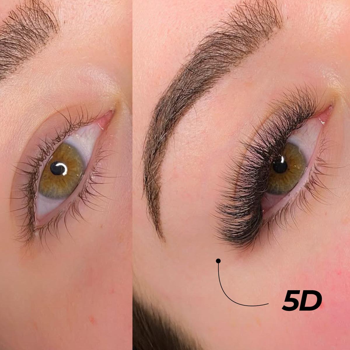 5D Premade Volume Fans Ultra Dark Short Stem - 440 Fans - LASH V