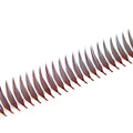 Anime Feather Spike - Dark Brown Lashes - 800 Fans - LASH V