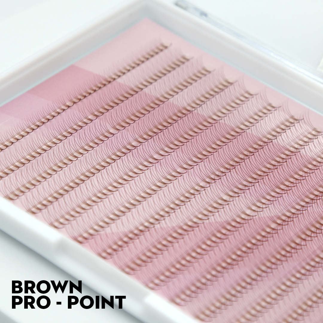 Brown Lashes Saver Bundle - x4 Trays - Matte Dark/Short Stem/Pro-point - LASH V