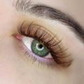 Brown Lashes Saver Bundle - x4 Trays - Matte Dark/Short Stem/Pro-point - LASH V