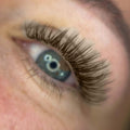 Brown Lashes Saver Bundle - x4 Trays - Matte Dark/Short Stem/Pro-point - LASH V