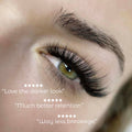 Premade Saver Bundle - X6 trays - 2792 fans - LASH V