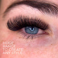 Premade Saver Bundle - X6 trays - 2792 fans - LASH V
