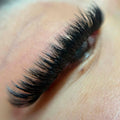 Premade Saver Bundle - X6 trays - 2792 fans - LASH V