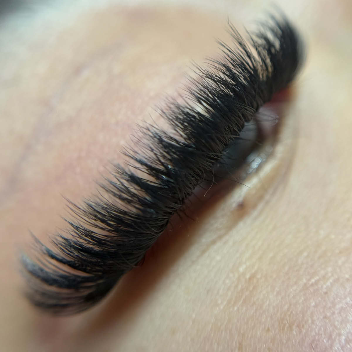 Premade Saver Bundle - X6 trays - 2792 fans - LASH V
