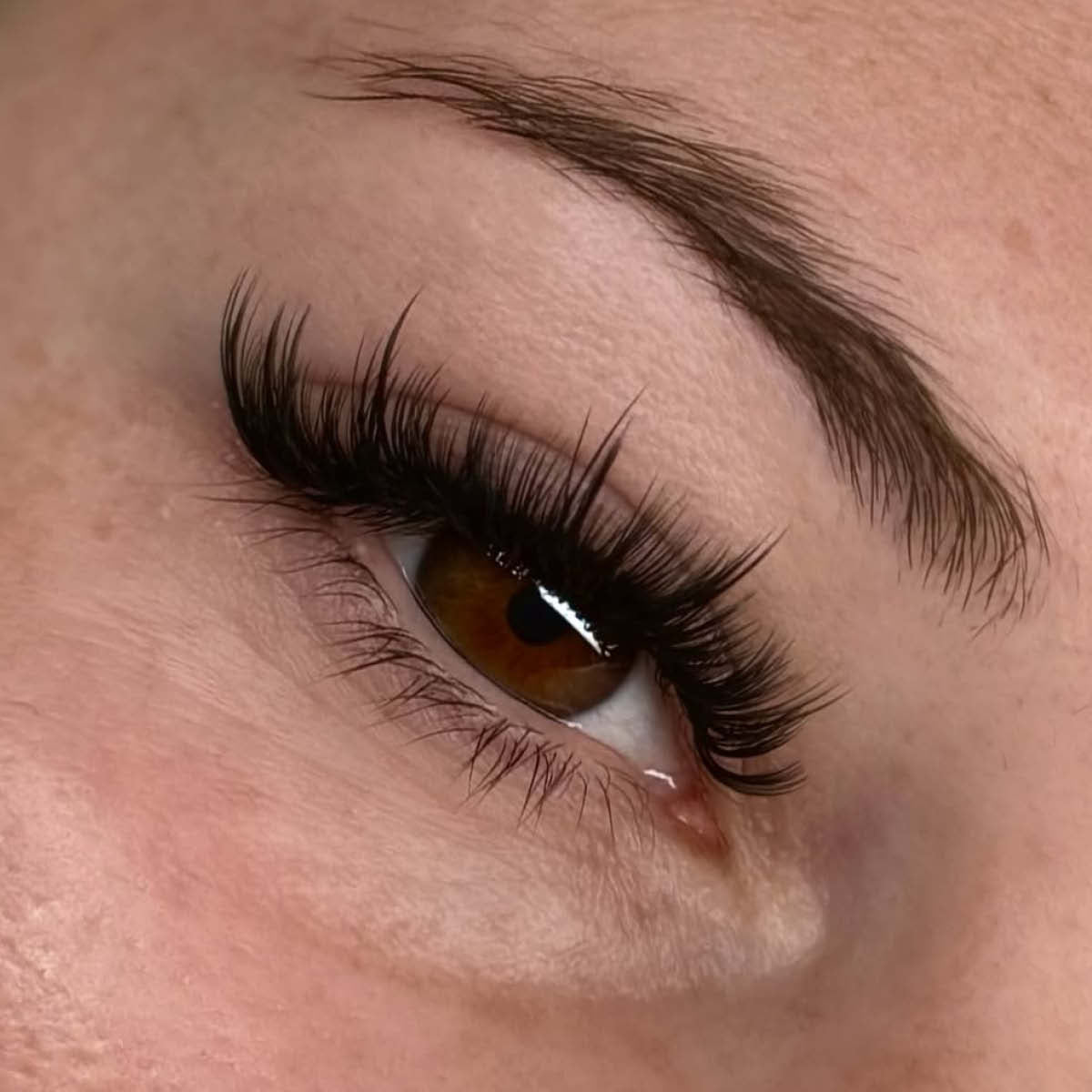 Matte Dark Volume Lashes Saver Bundle - x3 - 0.03/ 0.05/ 0.07 - LASH V