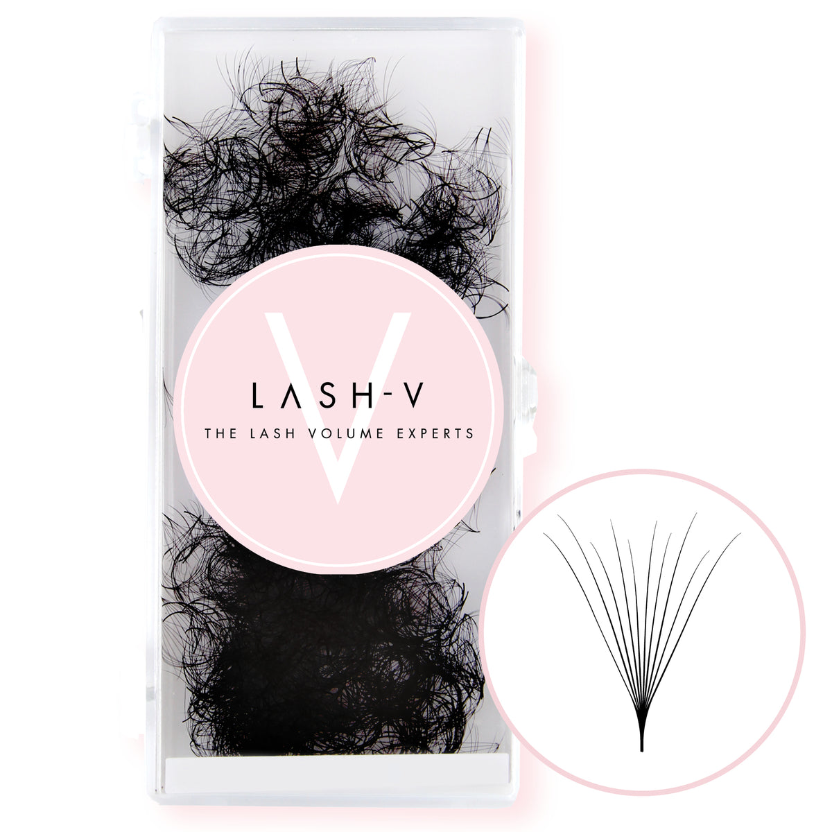 10D Promade Volume Fans Camellia Loose - 1000 Fans - LASH V