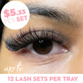 10D Promade Volume Fans Camellia Loose - 1000 Fans - LASH V