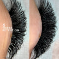 Triple Threat - Lash Adhesive Glue - LASH V