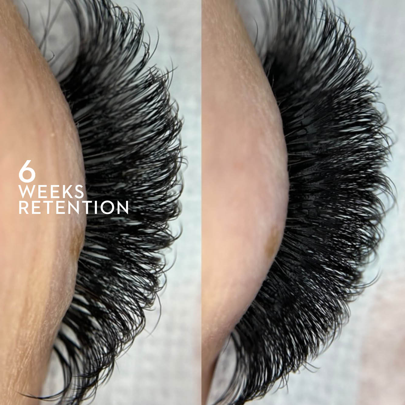 Triple Threat - Lash Adhesive Glue - LASH V