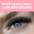 10D Promade Volume Fans Loose - 1000 Fans - LASH V