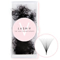 14D Promade Volume Fans Loose - 1000 Fans - LASH V