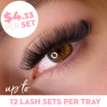 14D Promade Volume Fans Loose - 1000 Fans - LASH V