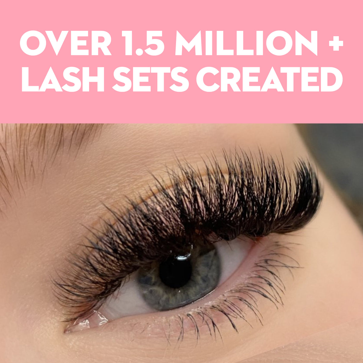 14D Promade Volume Fans Loose - 1000 Fans - LASH V