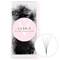 4D Promade Volume Fans Loose - 1000 Fans - LASH V