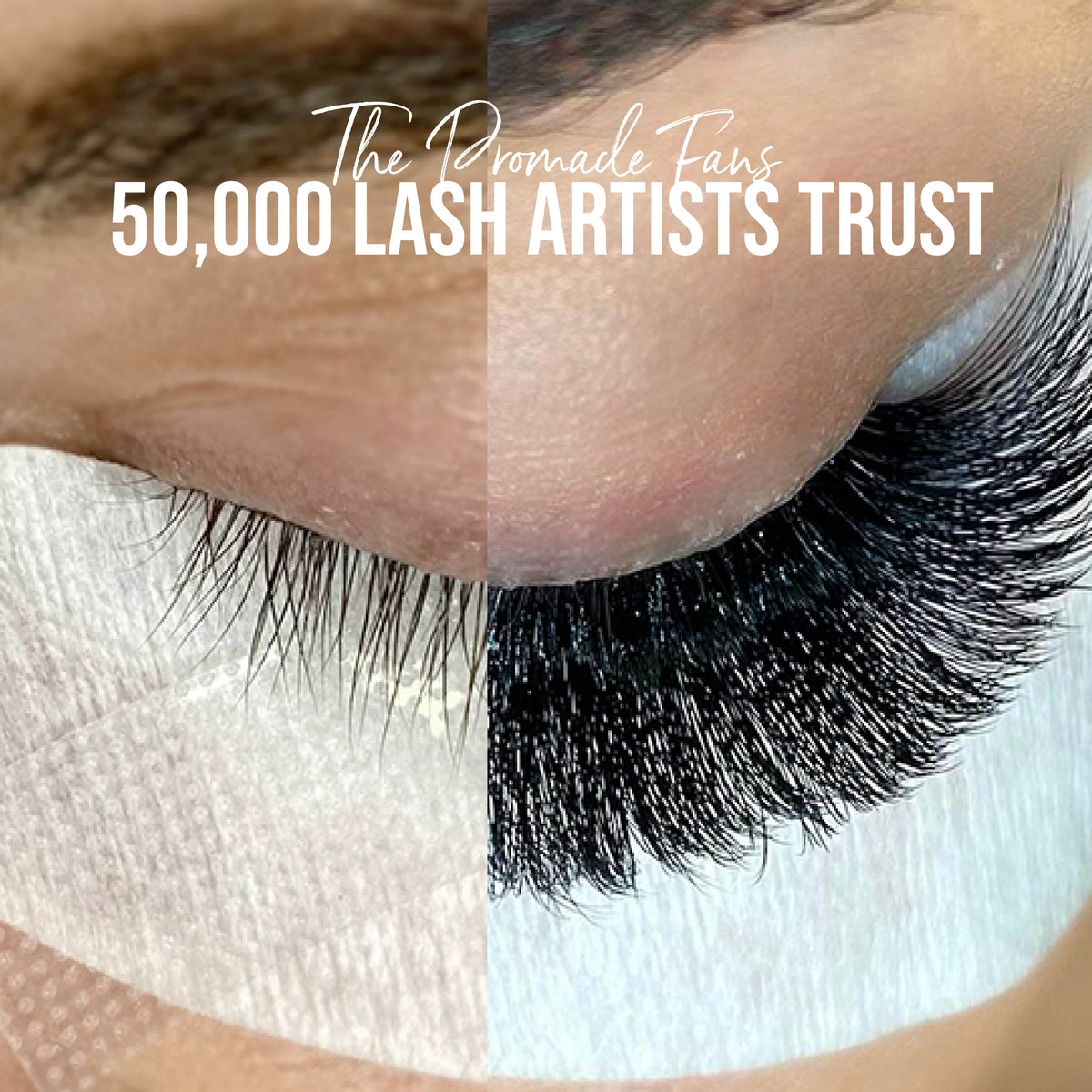 5D Promade Loose - 1000 Fans - LASH V