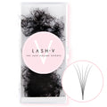 5D Promade Loose - 1000 Fans - LASH V