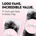 5D Promade Loose - 1000 Fans - LASH V