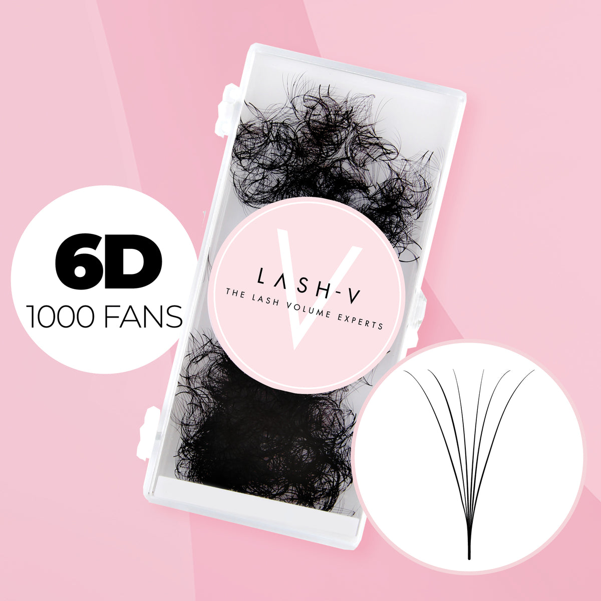 6D Promade Volume Fans Loose - 1000 Fans - LASH V
