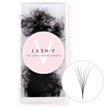 6D Promade Volume Fans Loose - 1000 Fans - LASH V