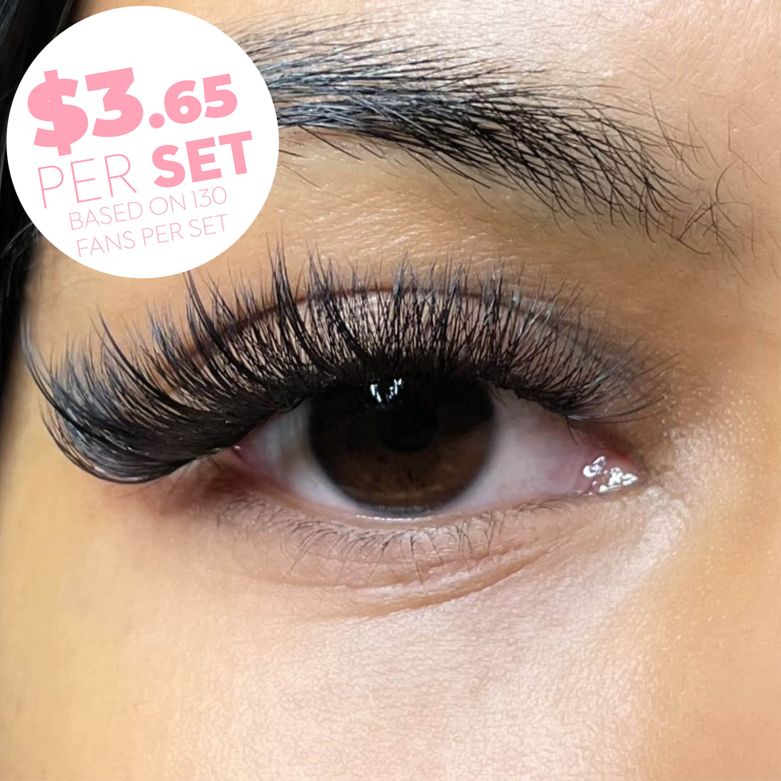 6D Promade Volume Fans Loose - 1000 Fans - LASH V