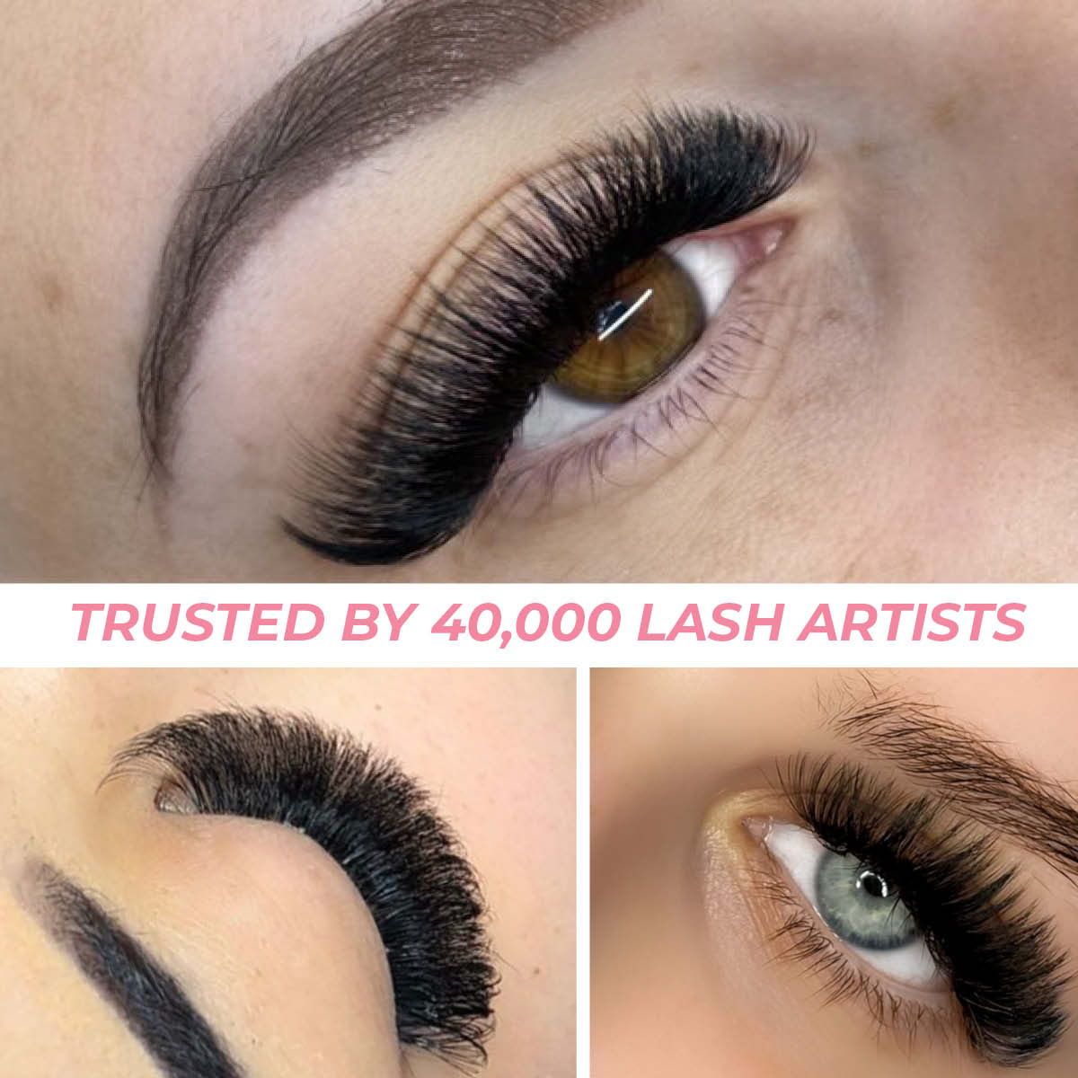 Promade Xxl Tray Saver Bundle - LASH V