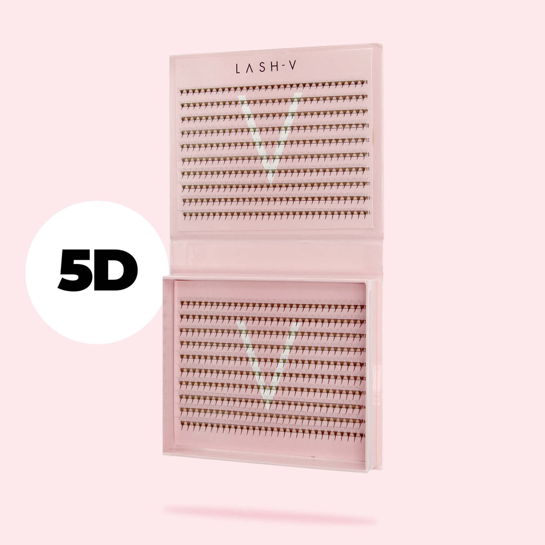 5D Promade Fans NEW XXL Tray 600 - Premade Volume Fans - LASH V