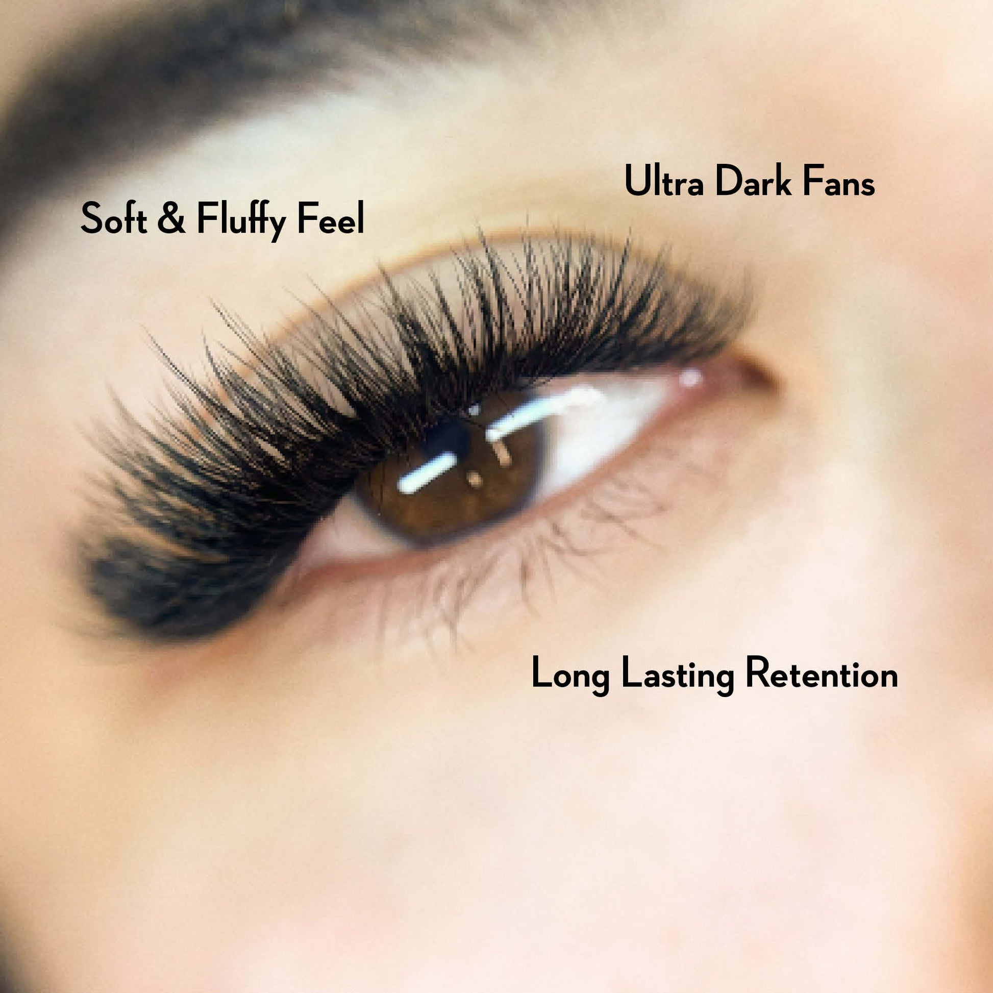 4D Promade Fans - Ultra-Speed 1000 Volume Fans - New Tray - LASH V