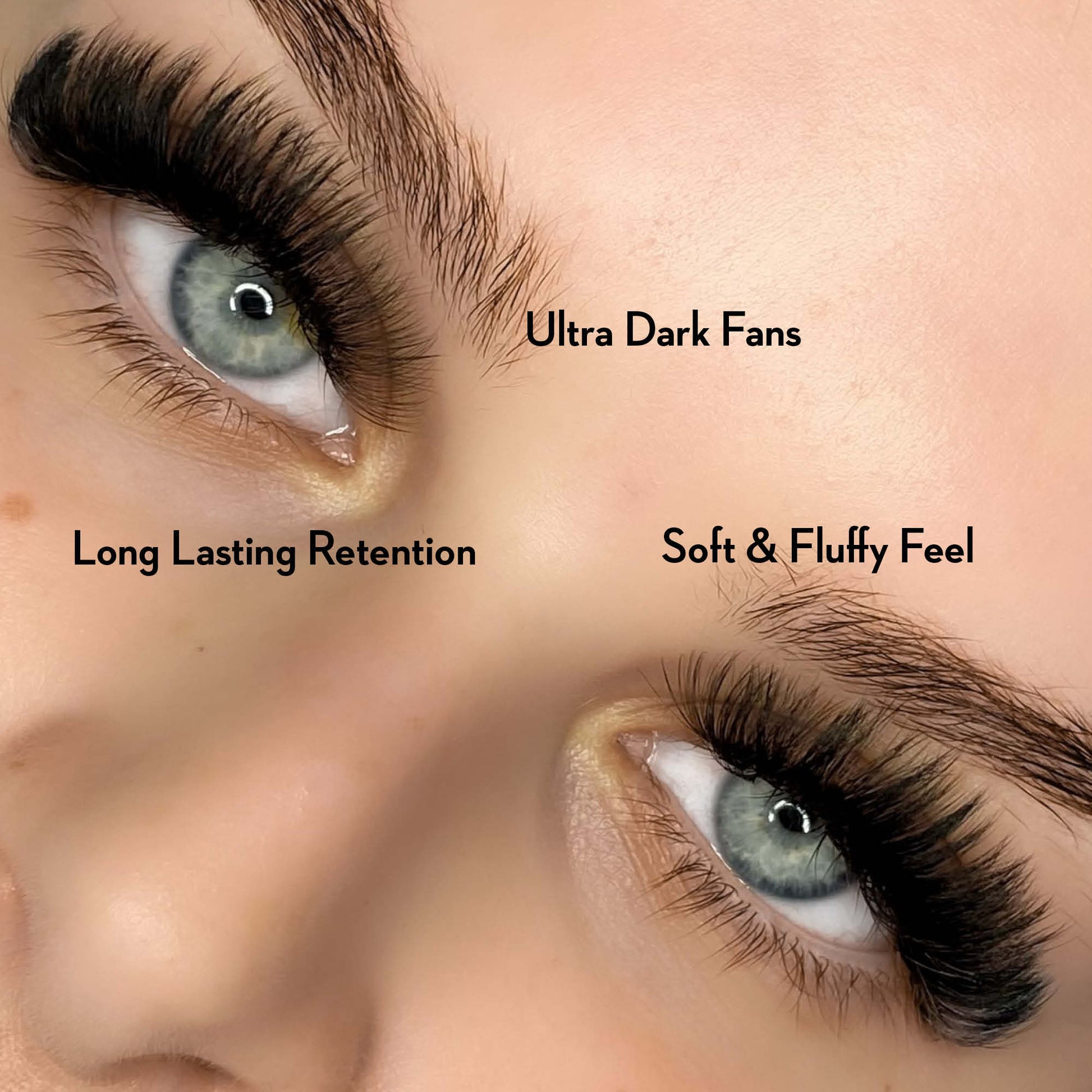 10D Promade Fans NEW XXL Tray 500 - Premade Volume Fans - LASH V