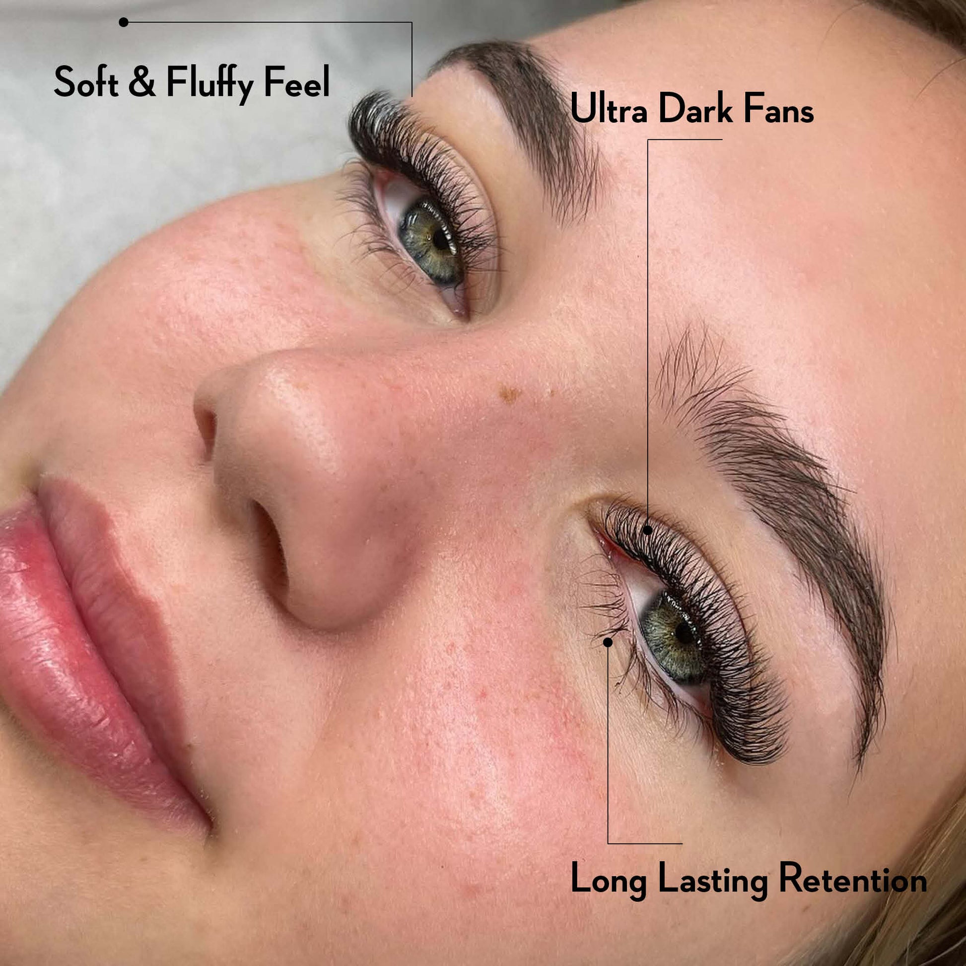 3D Promade Fans NEW XXL Tray 600 - Premade Volume Fans - LASH V