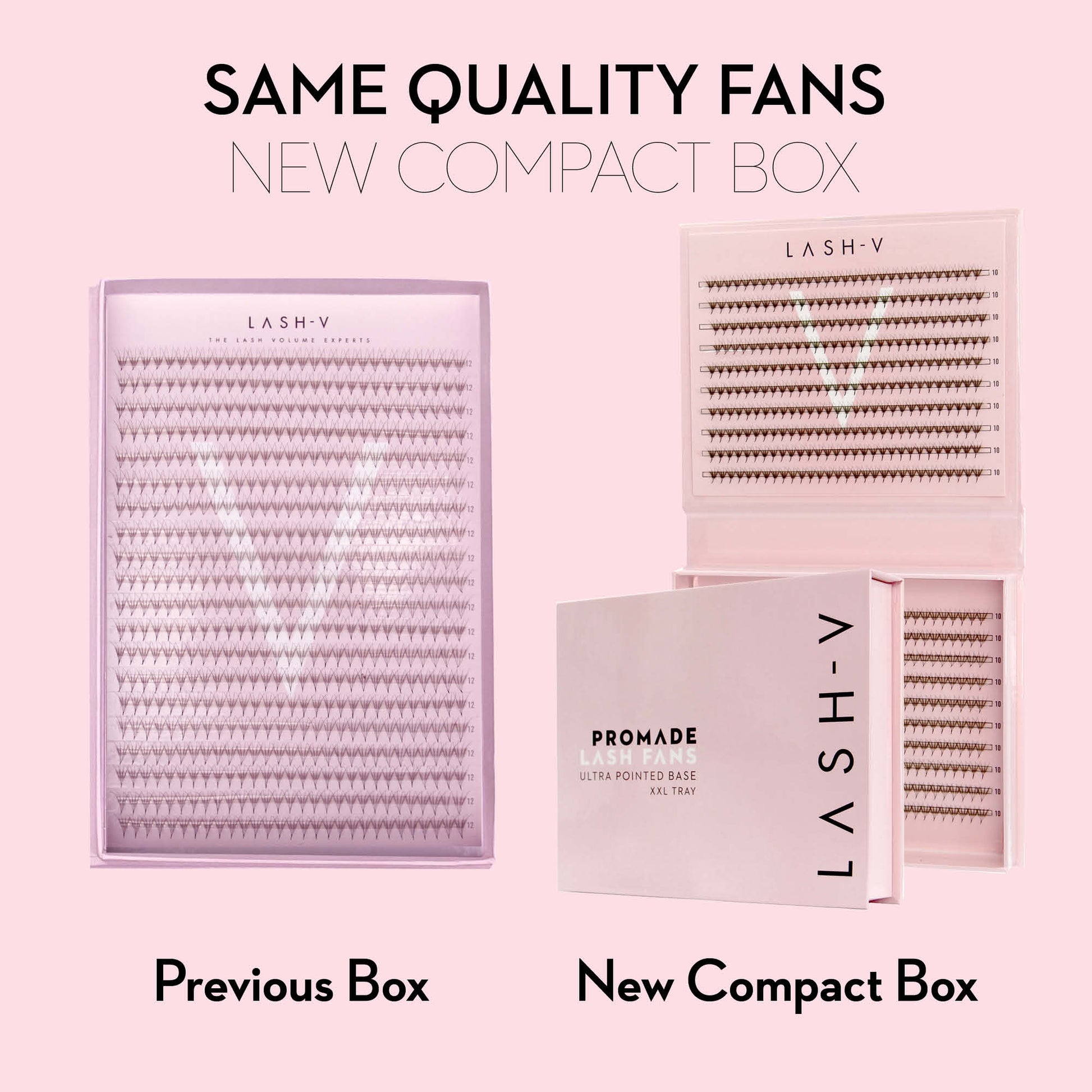 4D Promade Fans NEW XXL Tray 600 - Premade Volume Fans - LASH V