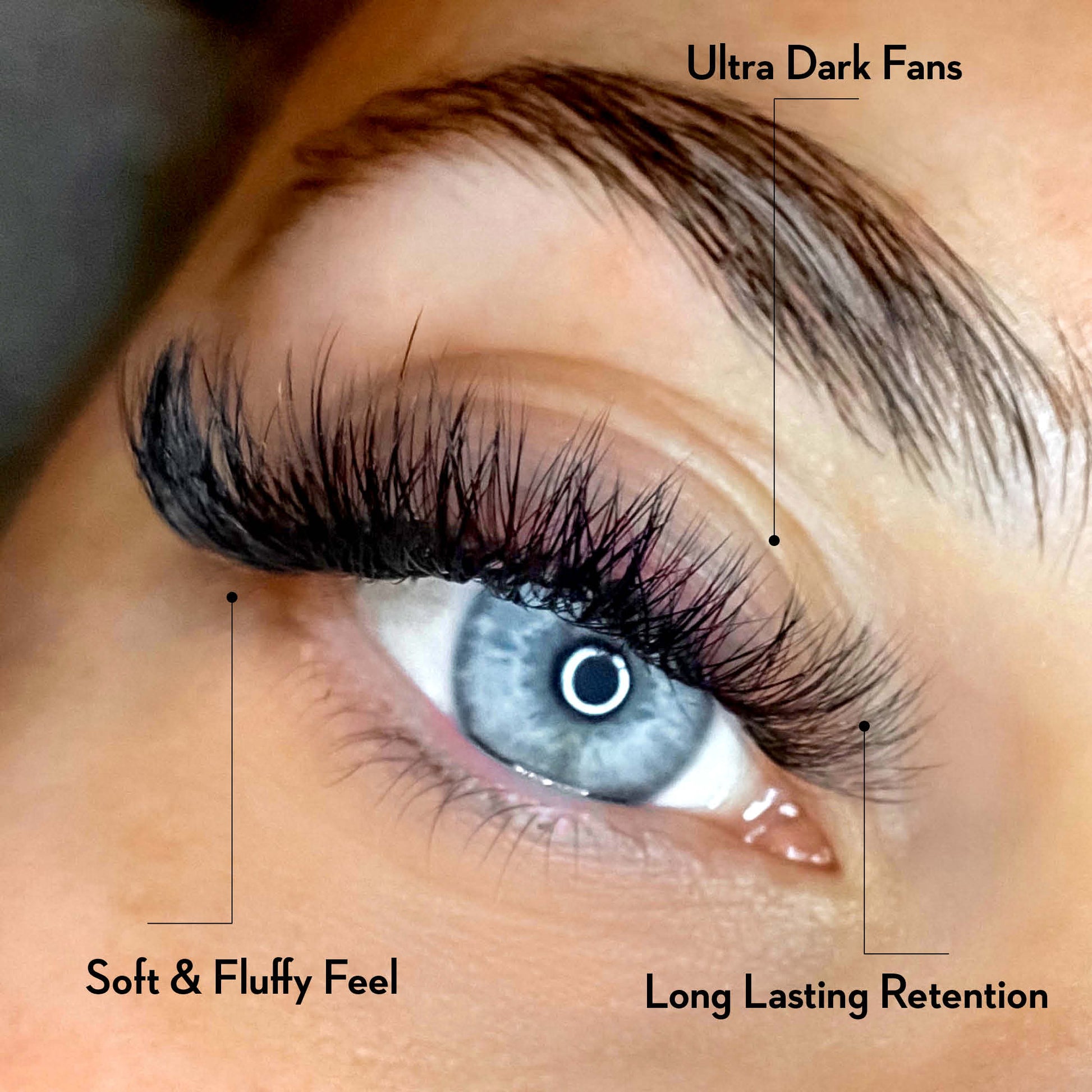 4D Promade Fans NEW XXL Tray 600 - Premade Volume Fans - LASH V